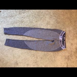 Gym shark leggings